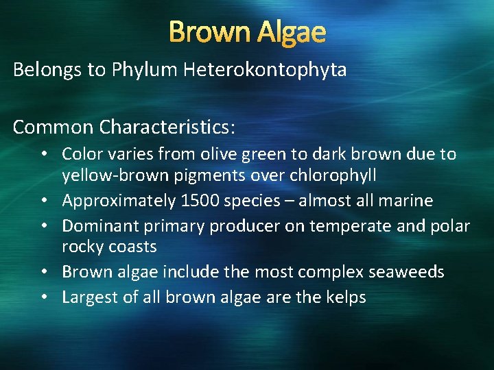 Brown Algae Belongs to Phylum Heterokontophyta Common Characteristics: • Color varies from olive green