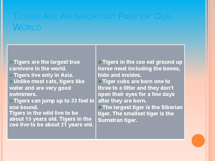TIGERS ARE AN IMPORTANT PART OF OUR WORLD ØTigers are the largest true carnivore