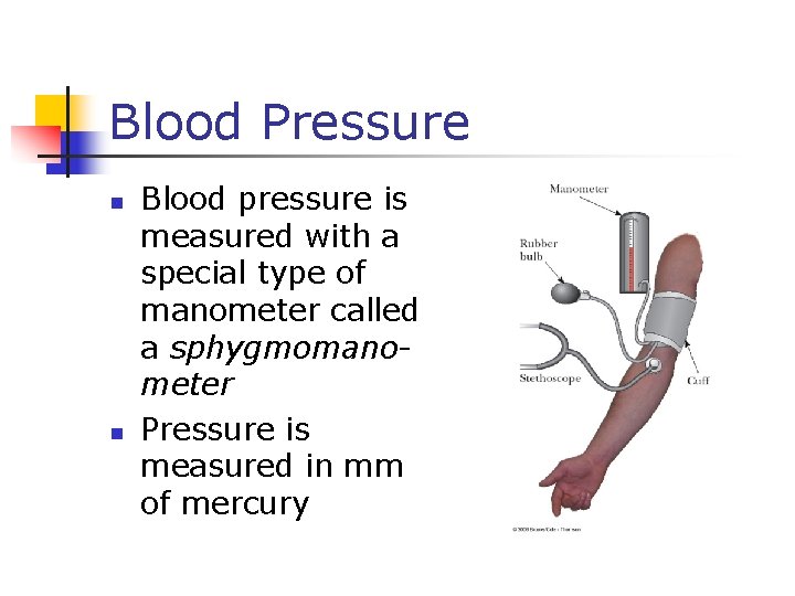 Blood Pressure n n Blood pressure is measured with a special type of manometer