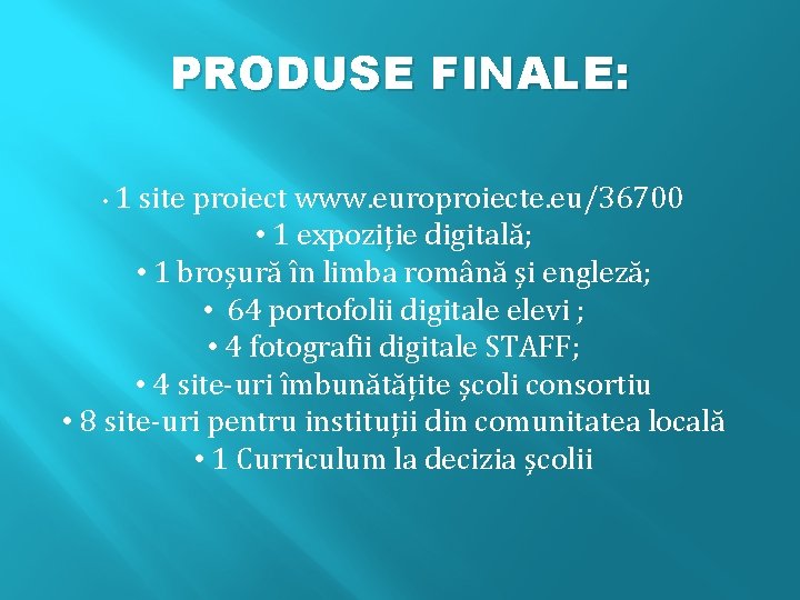 PRODUSE FINALE: • 1 site proiect www. europroiecte. eu/36700 • 1 expoziție digitală; •