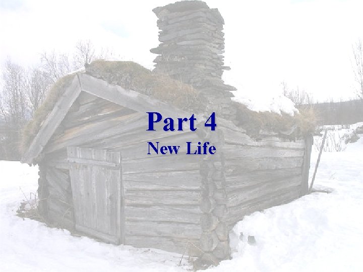 Part 4 New Life The Shack 