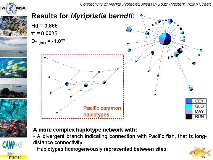 Connectivity of Marine Protected Areas in South-Western Indian Ocean Results for Myripristis berndti: Hd