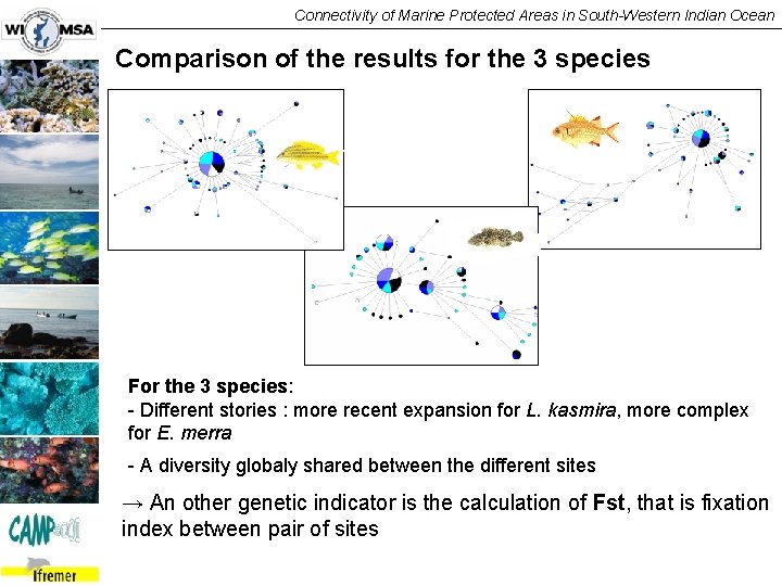 Connectivity of Marine Protected Areas in South-Western Indian Ocean Comparison of the results for