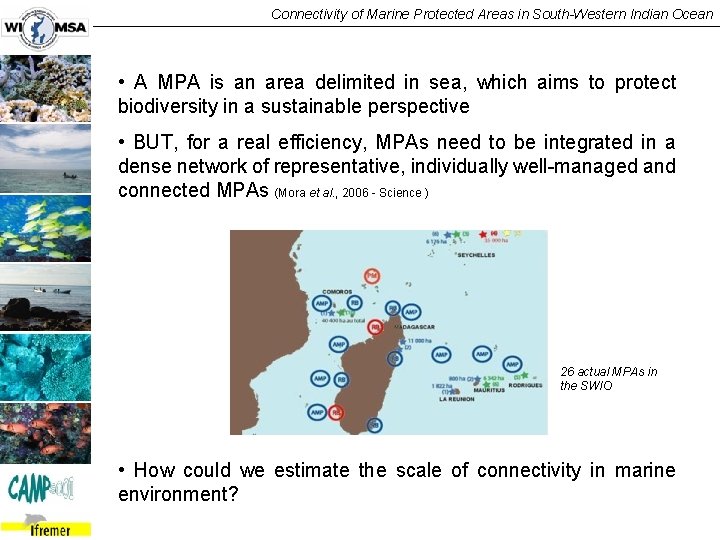 Connectivity of Marine Protected Areas in South-Western Indian Ocean • A MPA is an