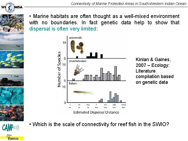 Connectivity of Marine Protected Areas in South-Western Indian Ocean • Marine habitats are often