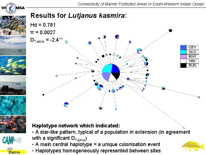 Connectivity of Marine Protected Areas in South-Western Indian Ocean Results for Lutjanus kasmira: Hd