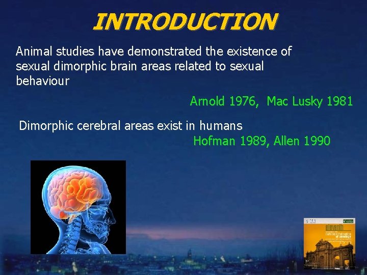INTRODUCTION Animal studies have demonstrated the existence of sexual dimorphic brain areas related to