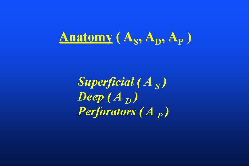 Anatomy ( AS, AD, AP ) Superficial ( A S ) Deep ( A