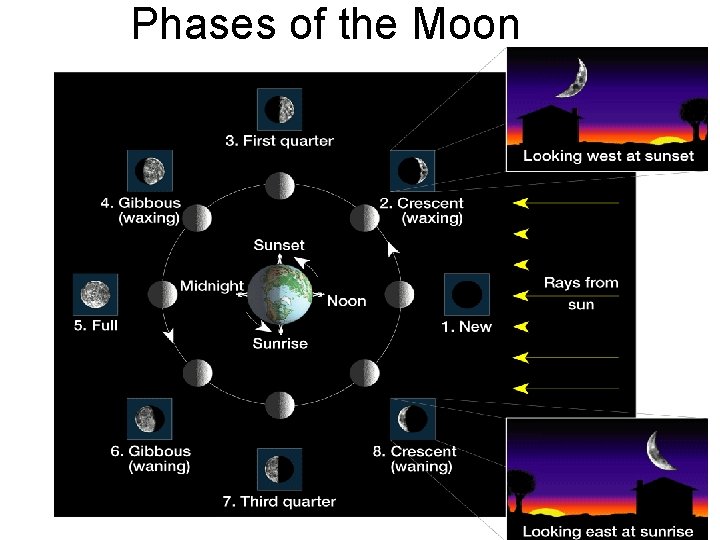 Phases of the Moon 