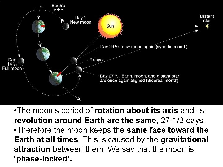  • The moon’s period of rotation about its axis and its revolution around