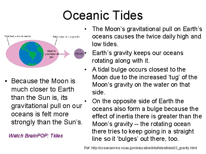 Oceanic Tides • The Moon’s gravitational pull on Earth’s oceans causes the twice daily