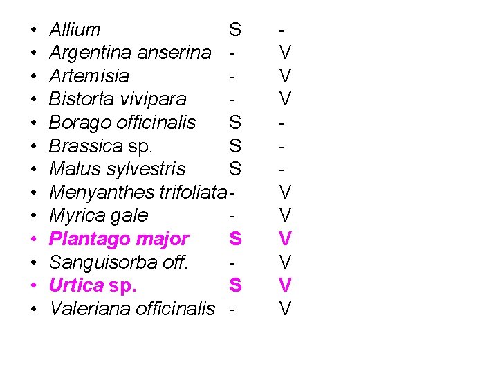  • • • • Allium S Argentina anserina Artemisia Bistorta vivipara Borago officinalis