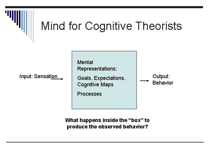Cognitive Processes PSY 334 Chapter 1 The Science