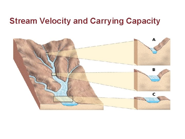 Stream Velocity and Carrying Capacity 