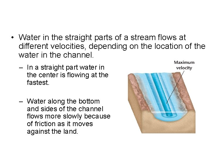  • Water in the straight parts of a stream flows at different velocities,