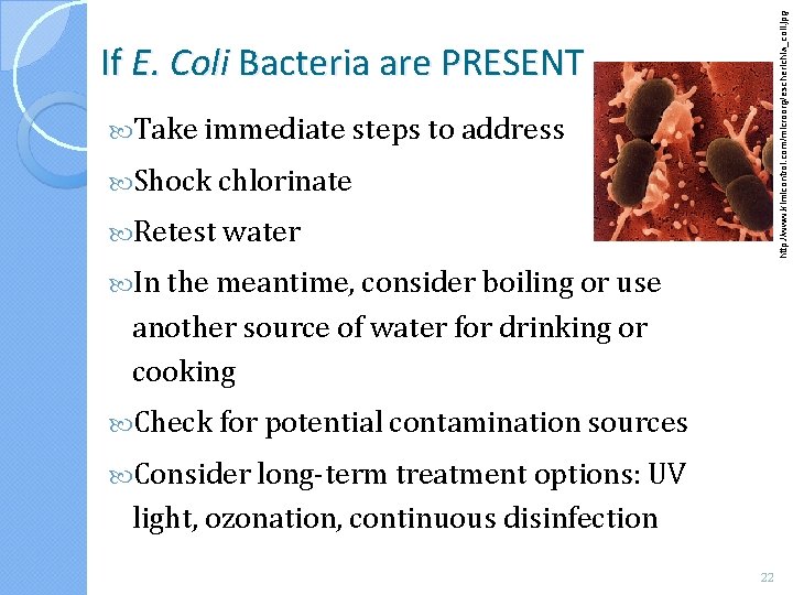 http: //www. kimicontrol. com/microorg/escherichia_coli. jpg If E. Coli Bacteria are PRESENT Take immediate steps