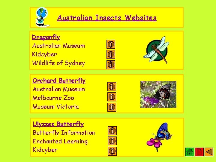Australian Insects Websites Dragonfly Australian Museum Kidcyber Wildlife of Sydney Orchard Butterfly Australian Museum