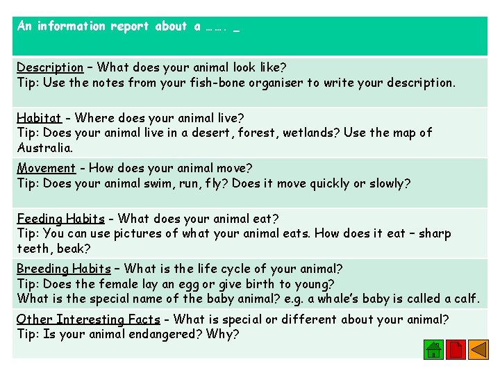 An information report about a ……. Description – What does your animal look like?