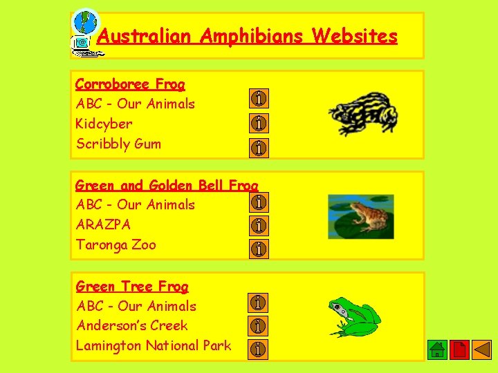 Australian Amphibians Websites Corroboree Frog ABC - Our Animals Kidcyber Scribbly Gum Green and