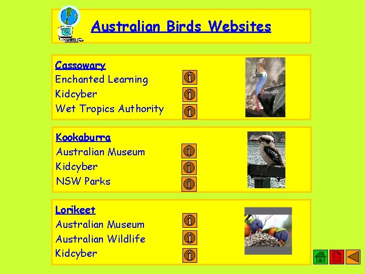 Australian Birds Websites Cassowary Enchanted Learning Kidcyber Wet Tropics Authority Kookaburra Australian Museum Kidcyber