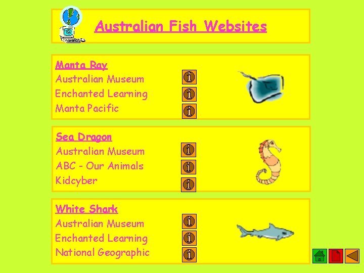 Australian Fish Websites Manta Ray Australian Museum Enchanted Learning Manta Pacific Sea Dragon Australian
