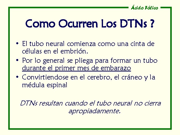 Ácido Fólico Como Ocurren Los DTNs ? • El tubo neural comienza como una