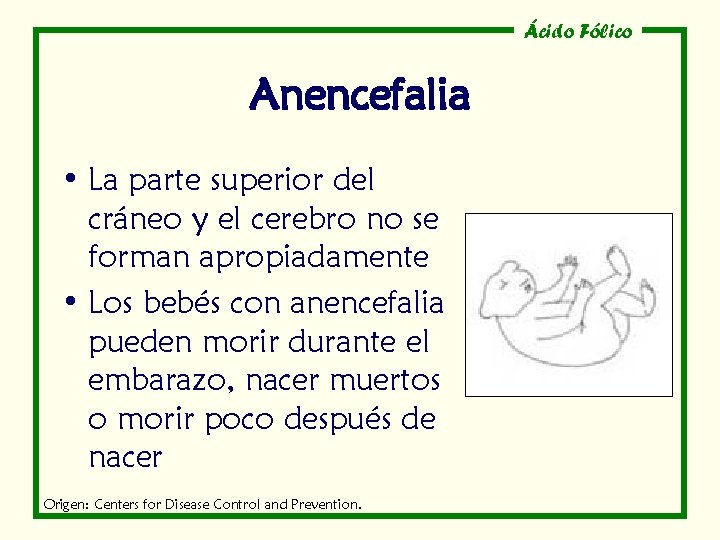 Ácido Fólico Anencefalia • La parte superior del cráneo y el cerebro no se Ácido Fólico Anencefalia • La parte superior del cráneo y el cerebro no se