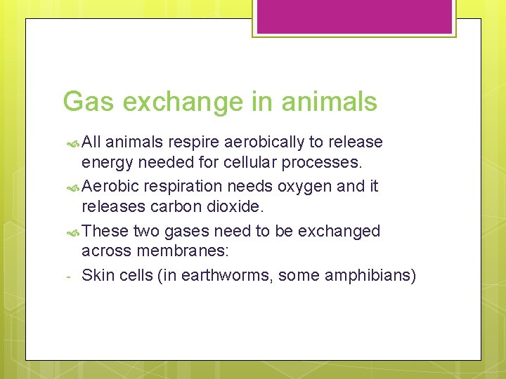 Gas exchange in animals All animals respire aerobically to release energy needed for cellular