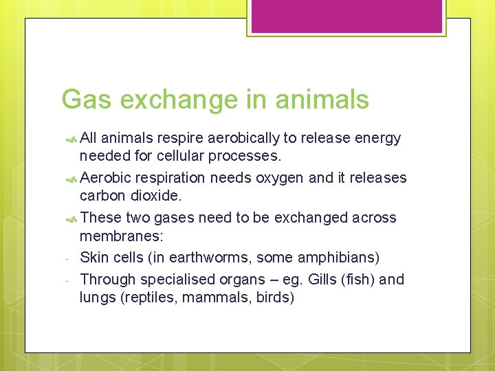 Gas exchange in animals All animals respire aerobically to release energy needed for cellular