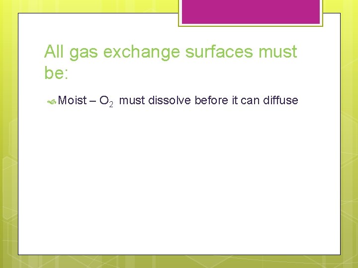 All gas exchange surfaces must be: Moist – O 2 must dissolve before it All gas exchange surfaces must be: Moist – O 2 must dissolve before it