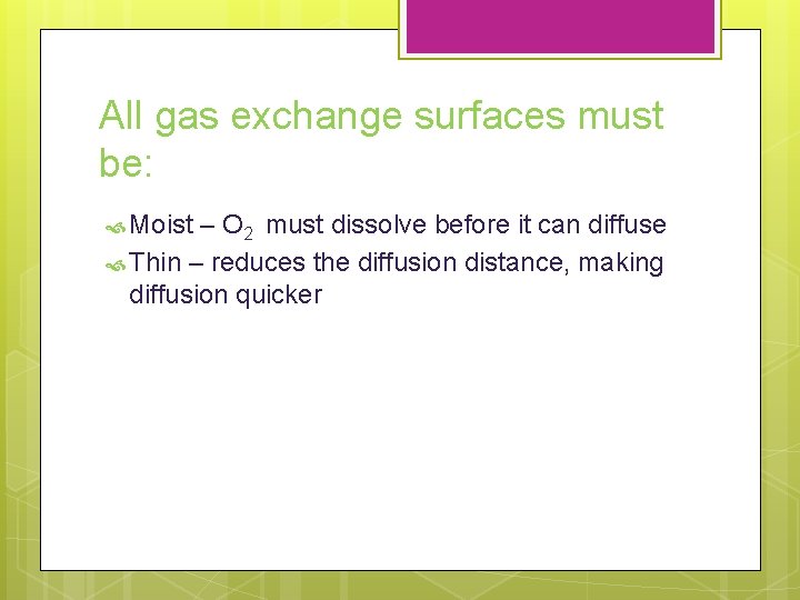 All gas exchange surfaces must be: Moist – O 2 must dissolve before it All gas exchange surfaces must be: Moist – O 2 must dissolve before it
