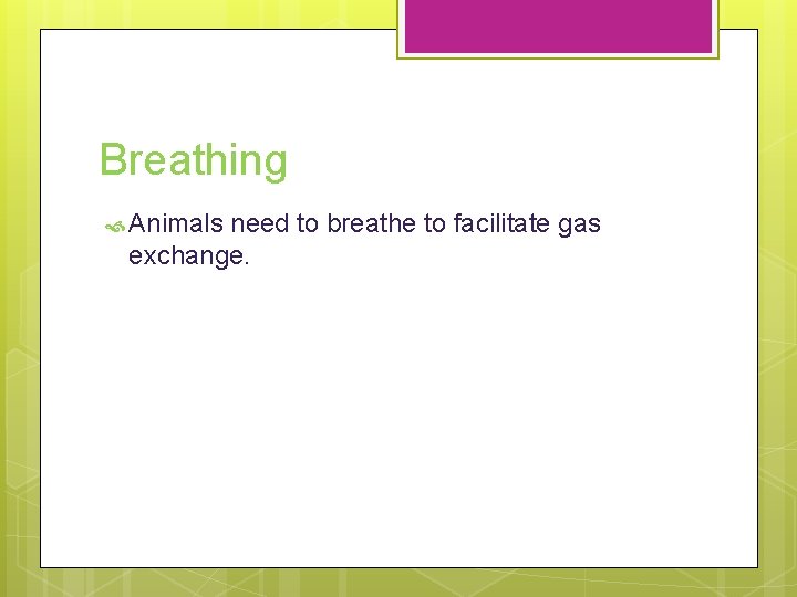 Breathing Animals need to breathe to facilitate gas exchange. 