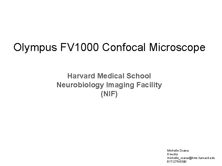 Olympus FV 1000 Confocal Microscope Harvard Medical School Neurobiology Imaging Facility (NIF) Michelle Ocana