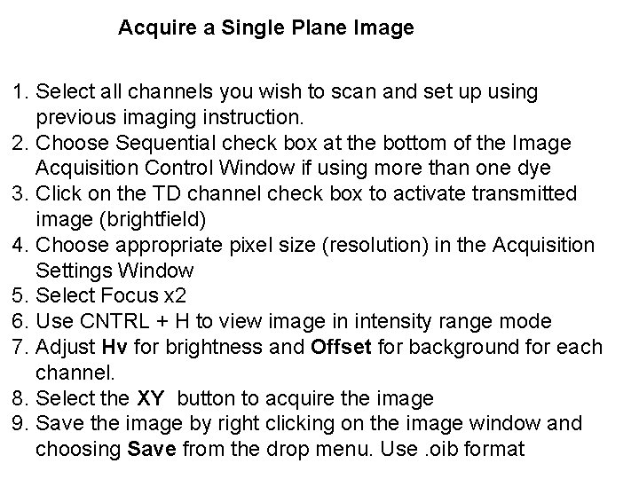 Acquire a Single Plane Image 1. Select all channels you wish to scan and