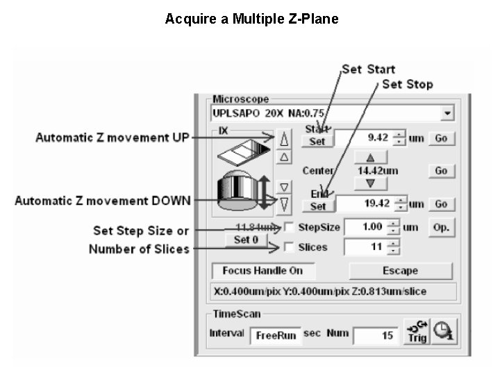 Acquire a Multiple Z-Plane 