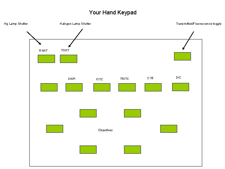 Your Hand Keypad Halogen Lamp Shutter Hg Lamp Shutter RSHT Transmitted/Fluorescence toggle TSHT DAPI