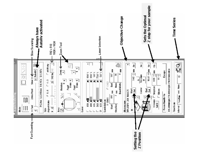 Setting the Z Position Time Series Sets the Optimal Z step for your sample
