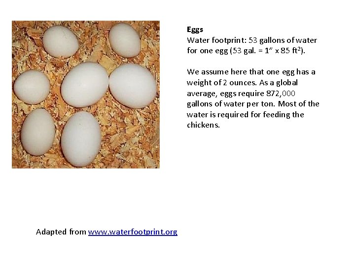 Eggs Water footprint: 53 gallons of water for one egg (53 gal. = 1”