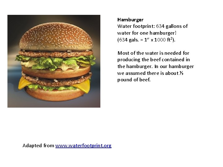 Hamburger Water footprint: 634 gallons of water for one hamburger! (634 gals. = 1”