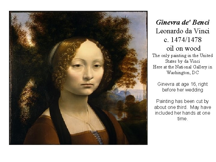 Ginevra de' Benci Leonardo da Vinci c. 1474/1478 oil on wood The only painting Ginevra de' Benci Leonardo da Vinci c. 1474/1478 oil on wood The only painting