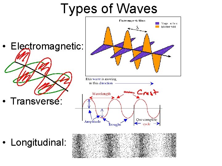 Types of Waves • Electromagnetic: • Transverse: • Longitudinal: 