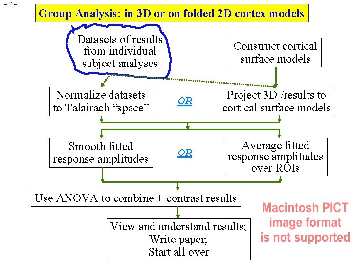 – 31– Group Analysis: in 3 D or on folded 2 D cortex models