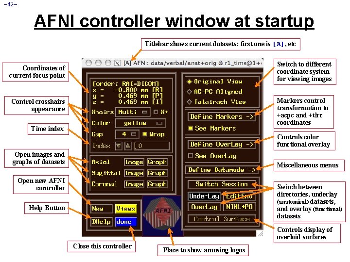 – 42– AFNI controller window at startup Titlebar shows current datasets: first one is