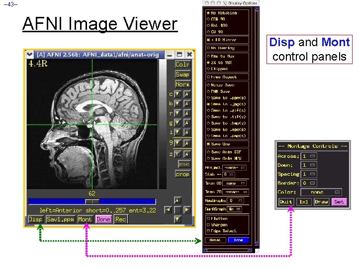– 43– AFNI Image Viewer Disp and Mont control panels 
