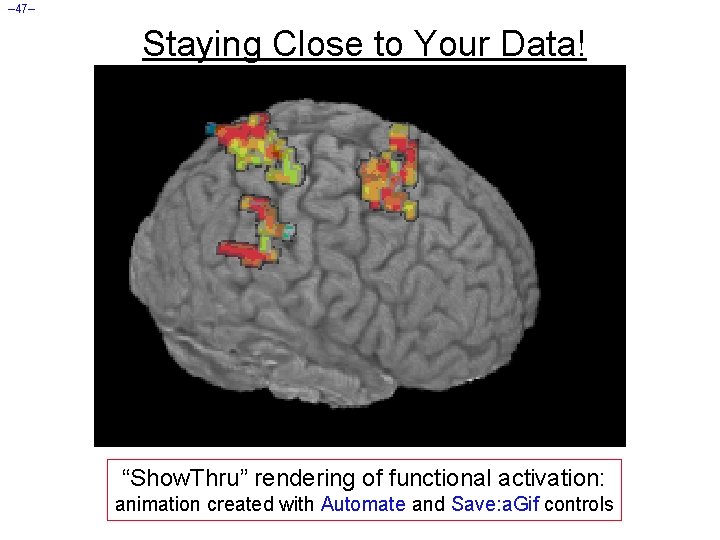 – 47– Staying Close to Your Data! “Show. Thru” rendering of functional activation: animation