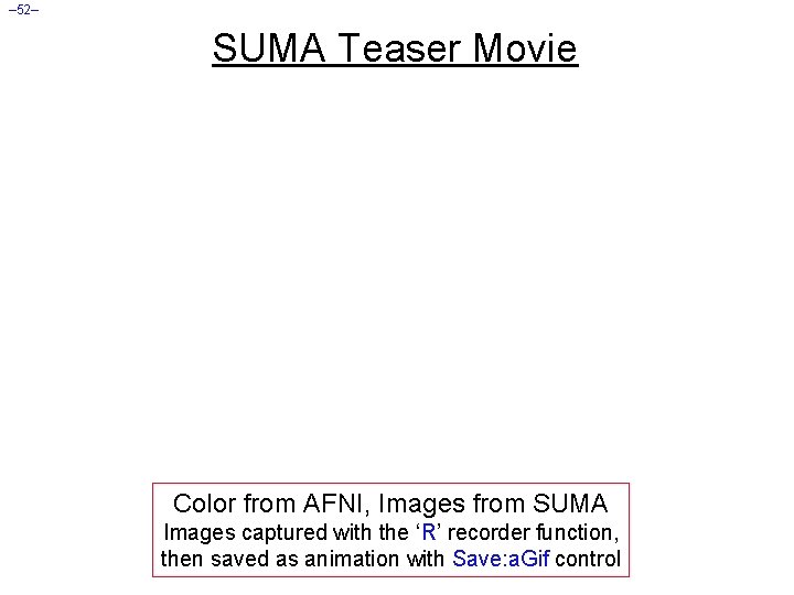 – 52– SUMA Teaser Movie Color from AFNI, Images from SUMA Images captured with