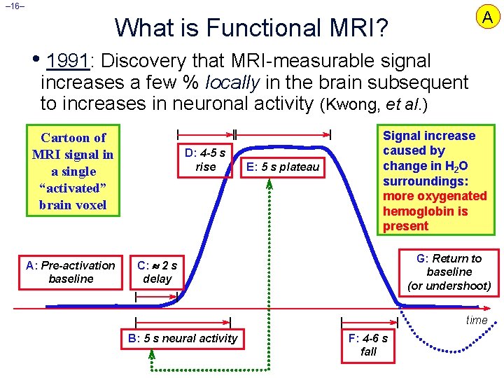 – 16– A What is Functional MRI? • 1991: Discovery that MRI-measurable signal increases