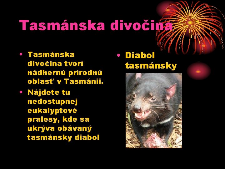 Tasmánska divočina • Tasmánska divočina tvorí nádhernú prírodnú oblasť v Tasmánii. • Nájdete tu