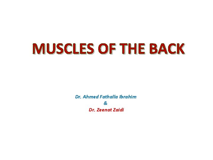 MUSCLES OF THE BACK Dr. Ahmed Fathalla Ibrahim & Dr. Zeenat Zaidi 