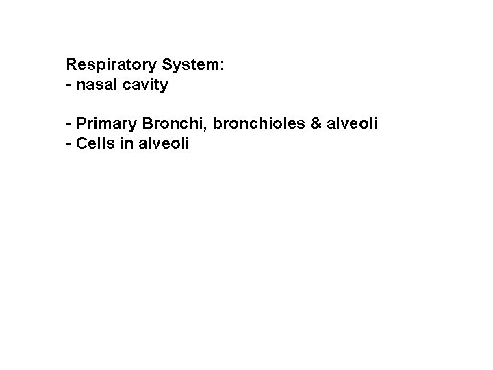 Respiratory System: - nasal cavity - Primary Bronchi, bronchioles & alveoli - Cells in